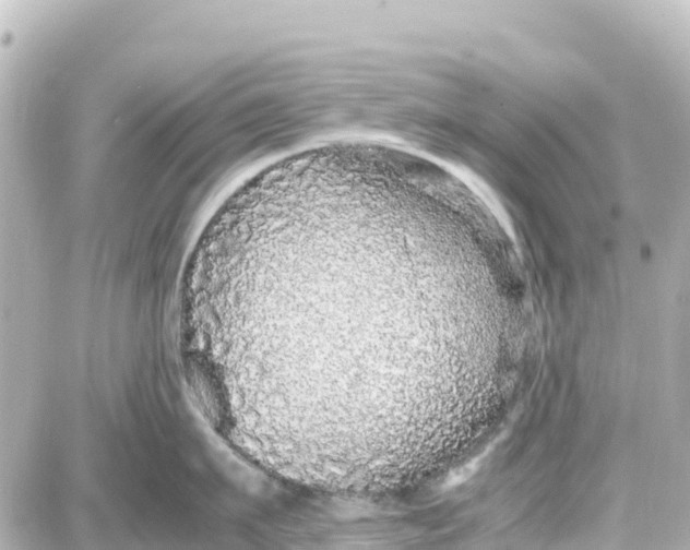 X0000087690911200705251705