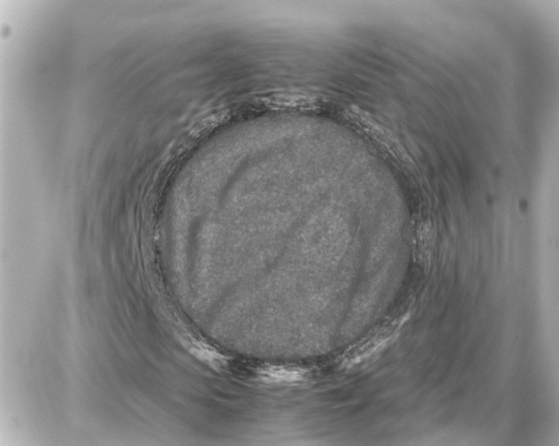 X0000087690913200705251705