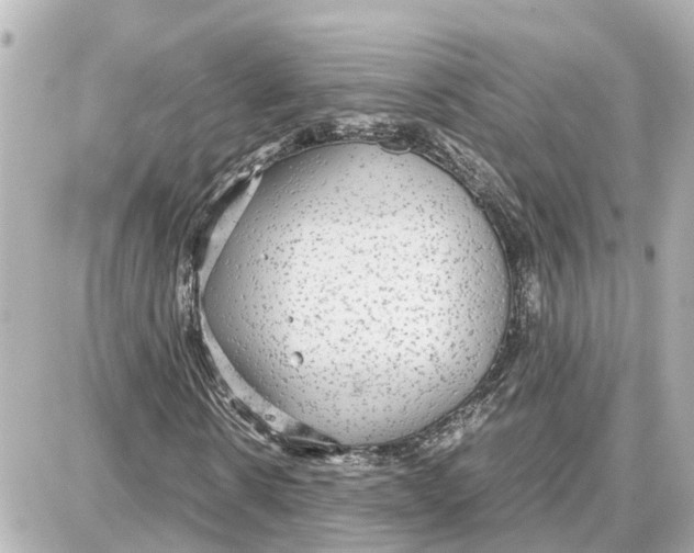 X0000087690914200705251705