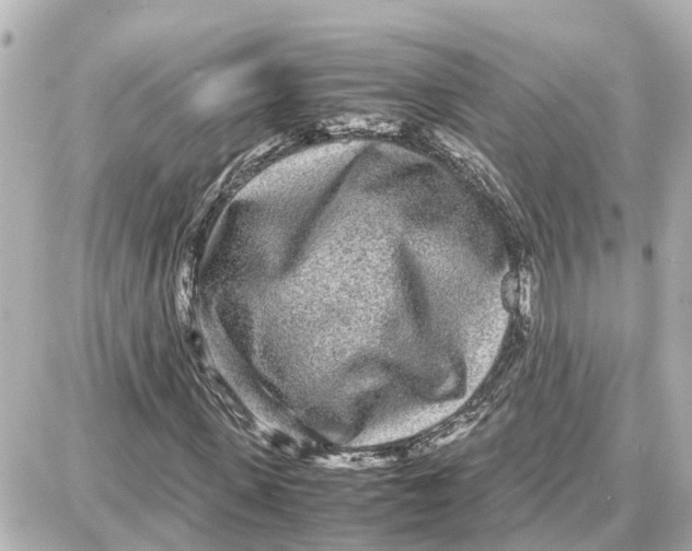 X0000087690915200705251705