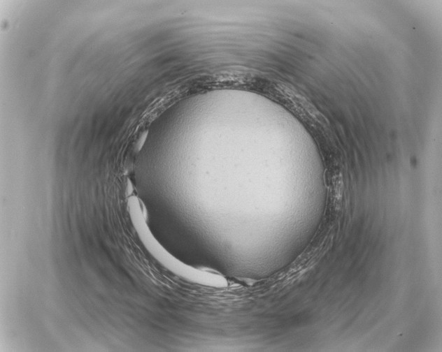 X0000087690916200705251705