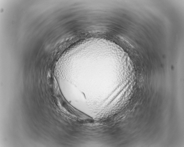 X0000087690917200705251705