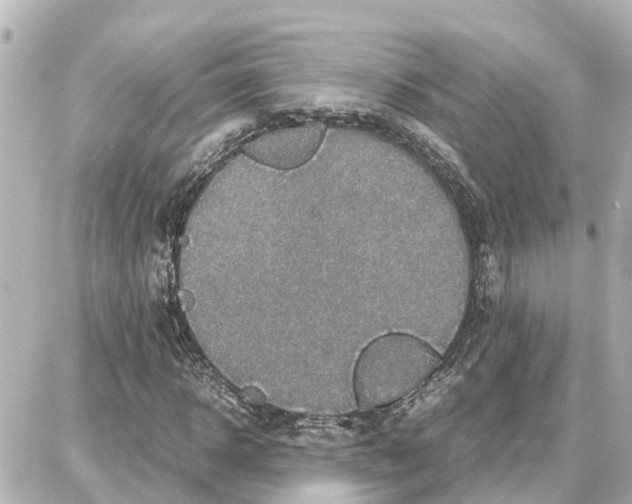 X0000087690918200705251705