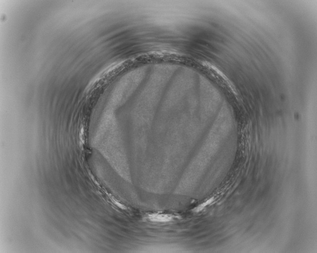 X0000087690919200705251705