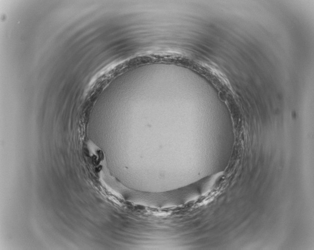 X0000087690920200705251705