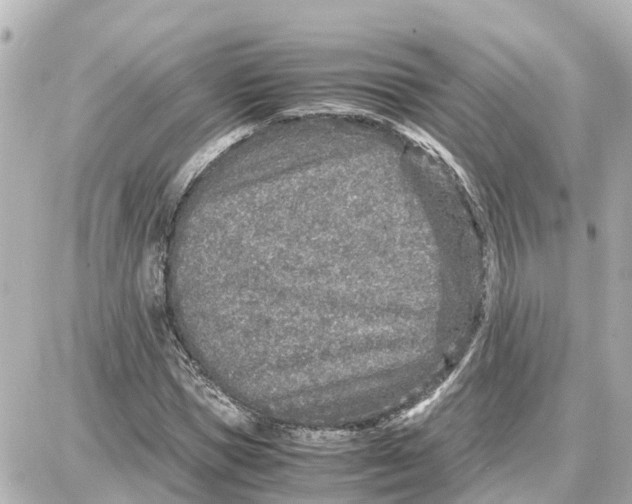 X0000087690921200705251705