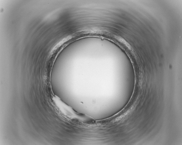 X0000087690922200705251705