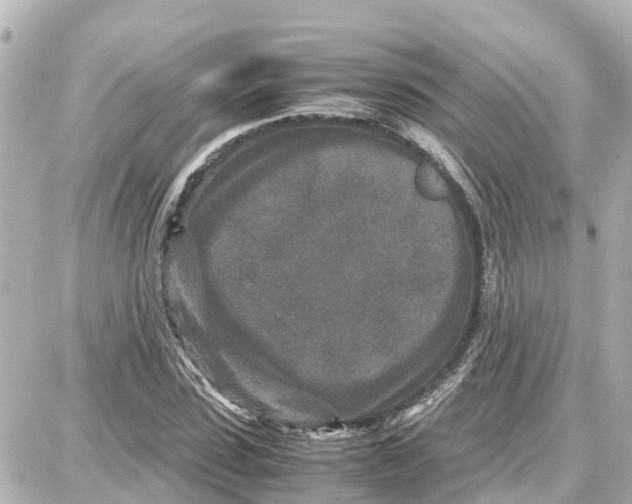 X0000087690923200705251705