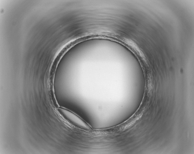 X0000087690924200705251705