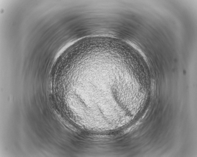 X0000087690925200705251705