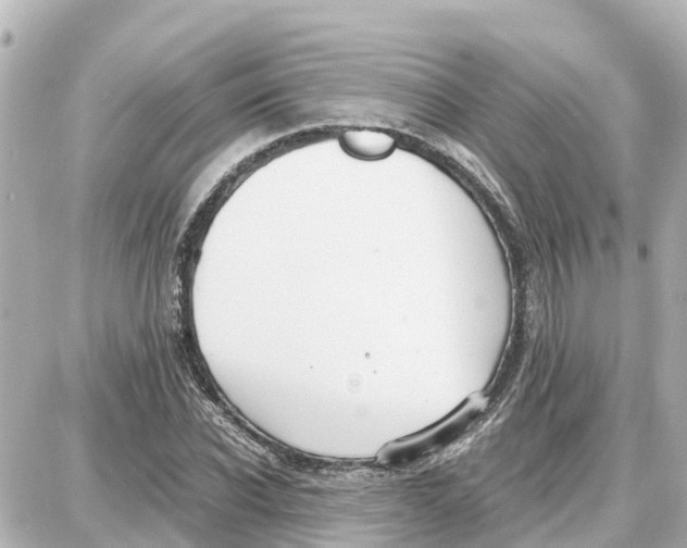 X0000087690926200705251705