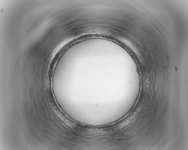 X0000087690927200705251705