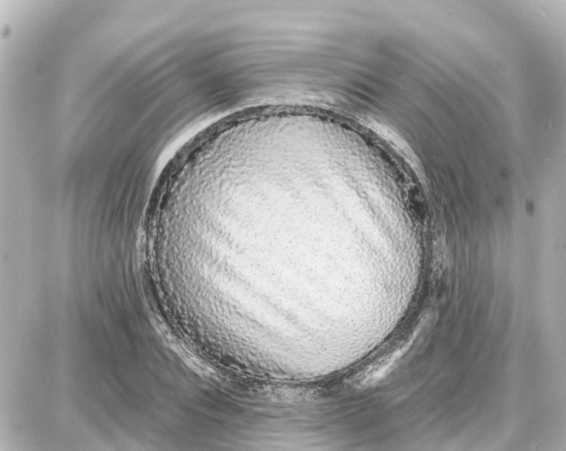 X0000087690928200705251705