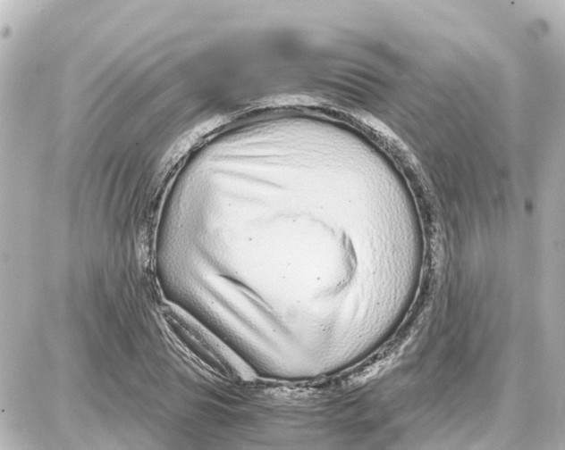 X0000087690929200705251705