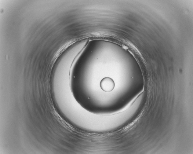 X0000087690930200705251705