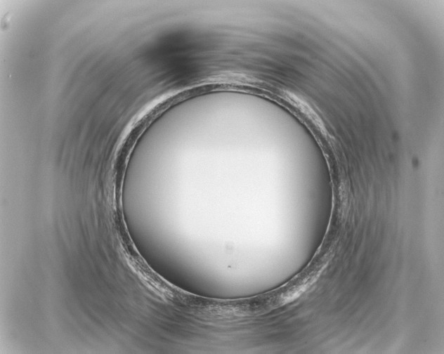 X0000087690931200705251705