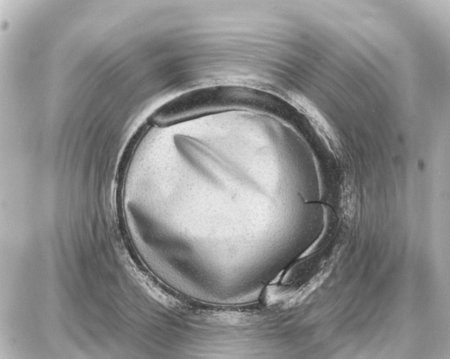 X0000087690932200705251705