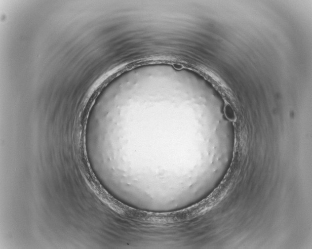 X0000087690933200705251705