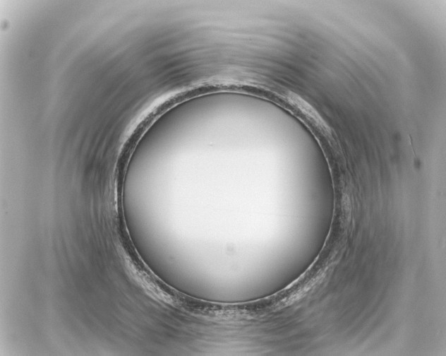 X0000087690934200705251705