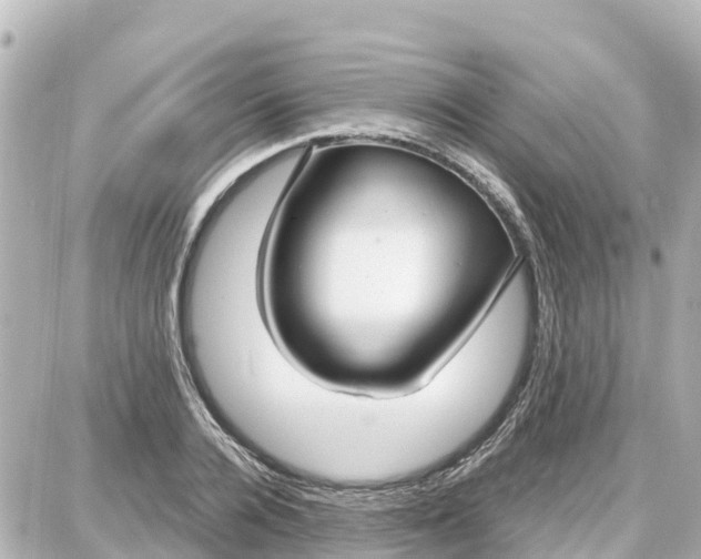 X0000087690936200705251705