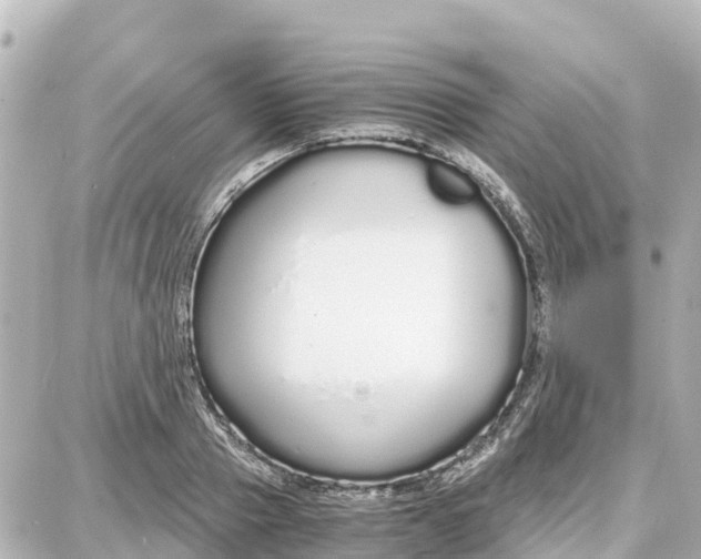 X0000087690937200705251705