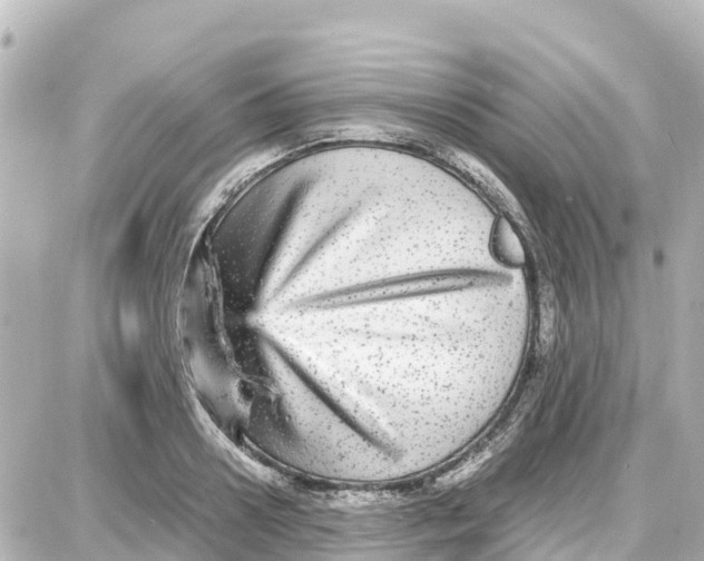 X0000087690938200705251705