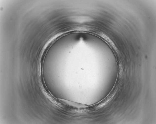 X0000087690939200705251705