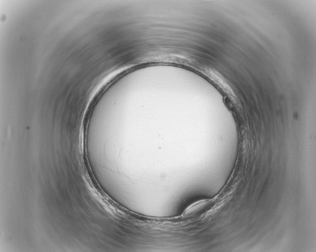 X0000087690940200705251705