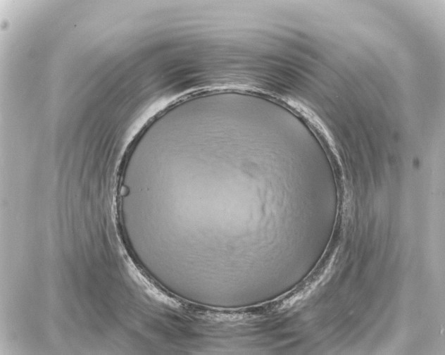 X0000087690941200705251705