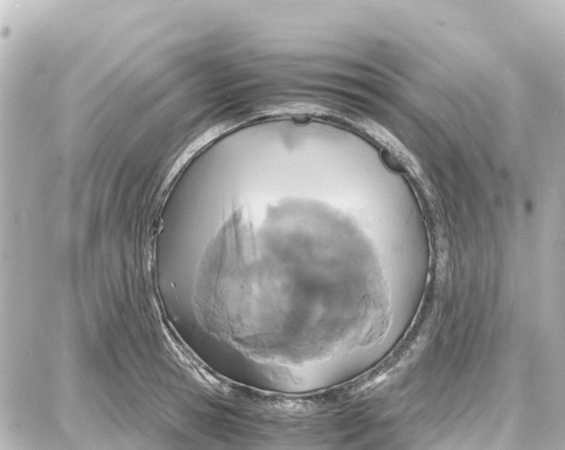 X0000087690945200705251705