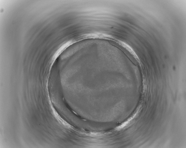 X0000087690946200705251705