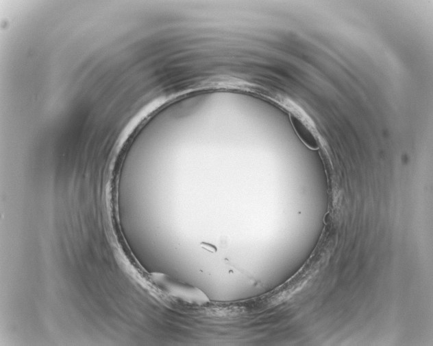 X0000087690947200705251705