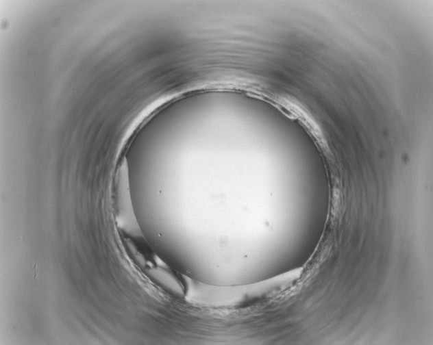 X0000087690948200705251705