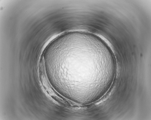 X0000087690949200705251705