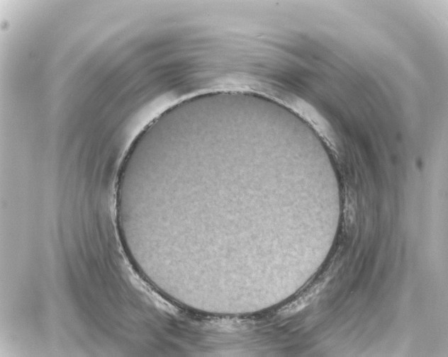 X0000087690950200705251705