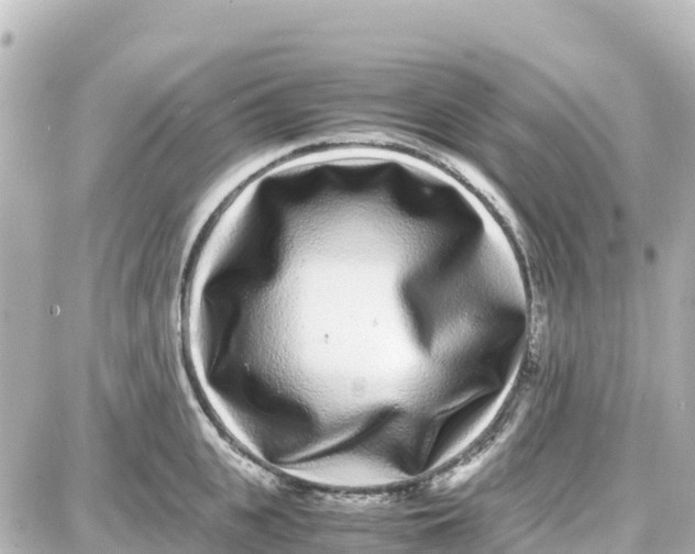 X0000087690951200705251705