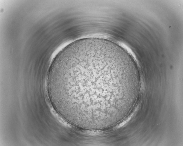 X0000087690952200705251705