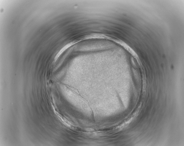 X0000087690953200705251705