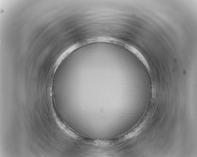 X0000087690954200705251705