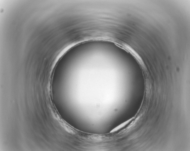 X0000087690956200705251705