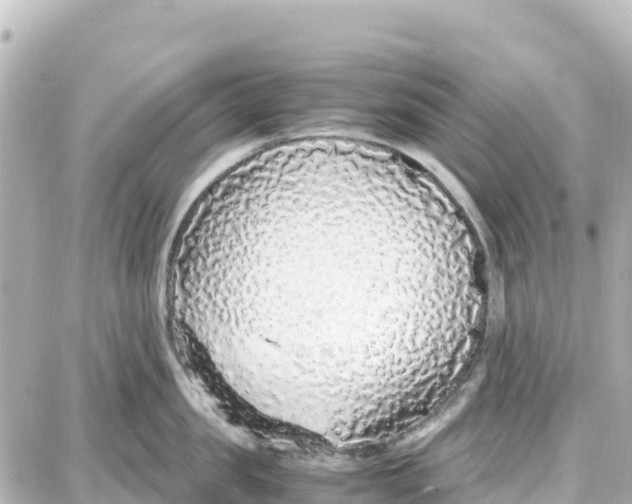 X0000087690957200705251705