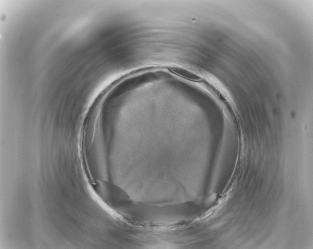 X0000087690958200705251705