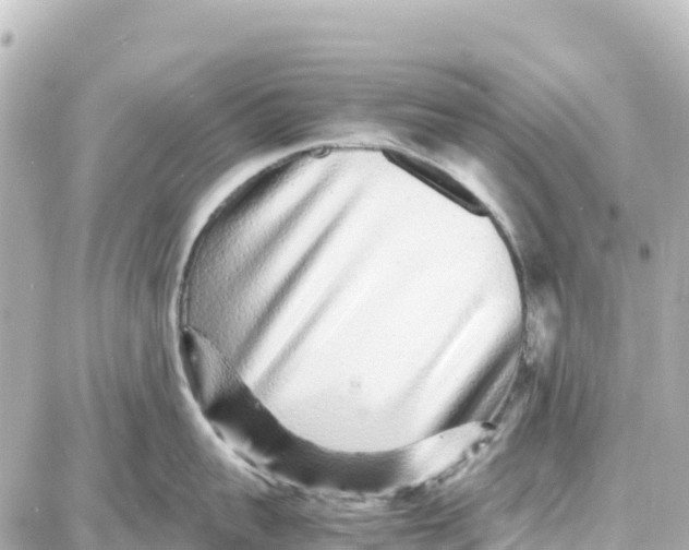 X0000087690959200705251705