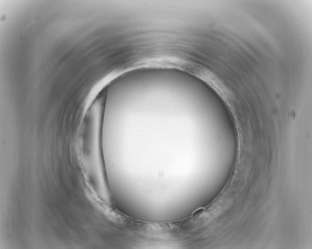 X0000087690960200705251705