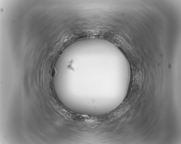 X0000087690961200705251705