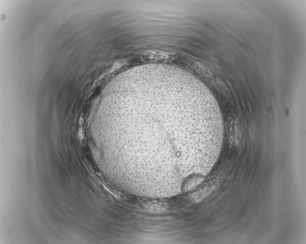 X0000087690962200705251705