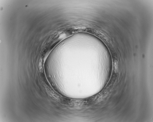 X0000087690963200705251704