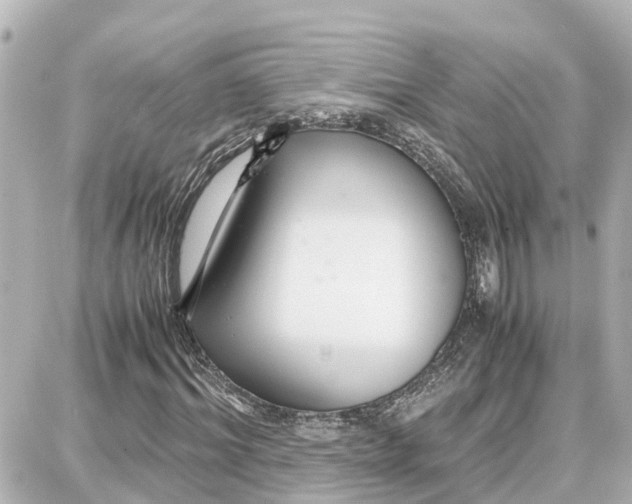 X0000087690964200705251704