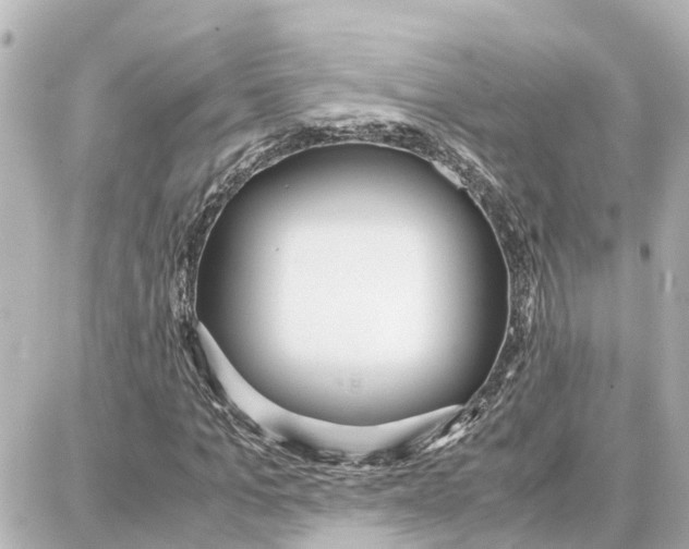 X0000087690965200705251704