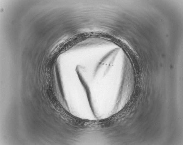 X0000087690967200705251704